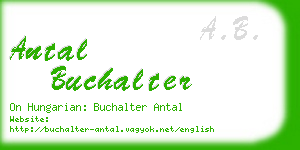 antal buchalter business card